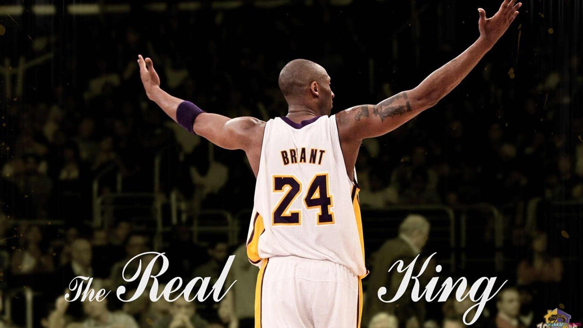 世界排名争夺战焦点战，法国队战术风暴冲垮波兰防线