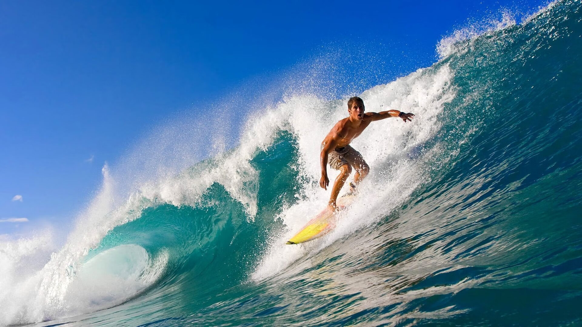 当公牛封锁深圳河畔,从NBA到F1,西亚卡姆的跨界年度争冠启示录